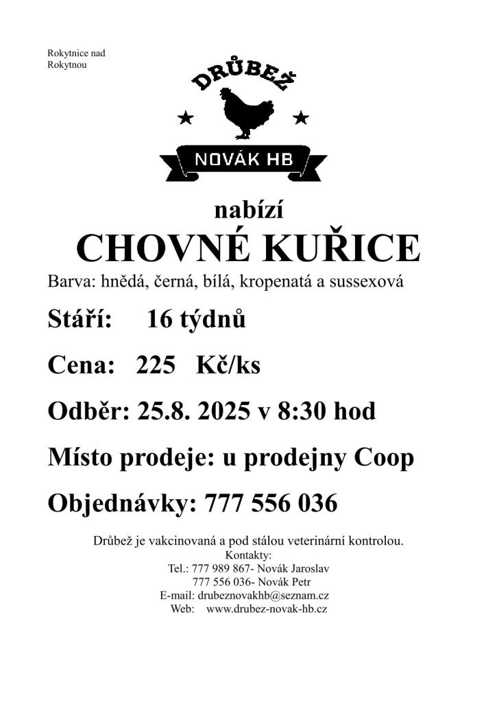 Prodej kuřic