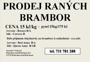 brambory